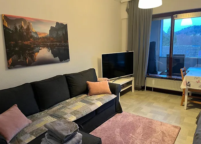 Ferienwohnung Bad Harzburg